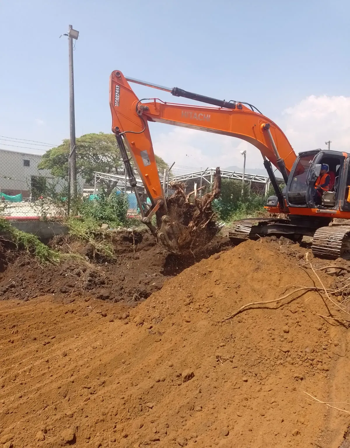 Excavadora de oruga retirando material y raíces en un frente de excavación.