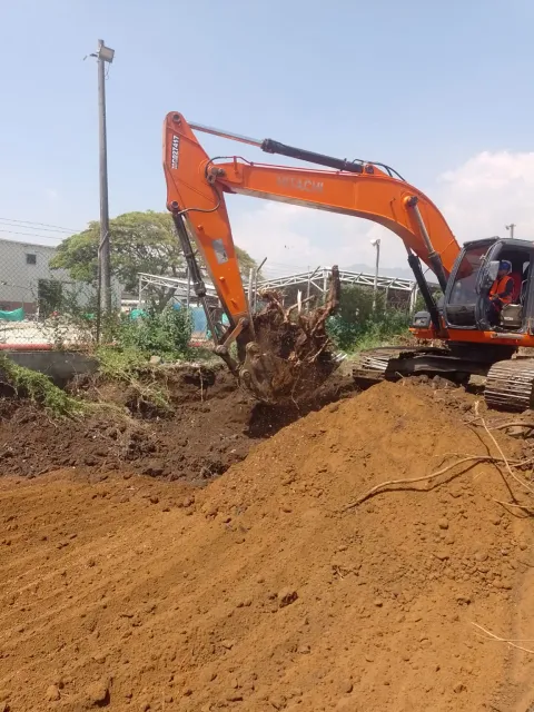 Excavadora de oruga retirando material y raíces en un frente de excavación.